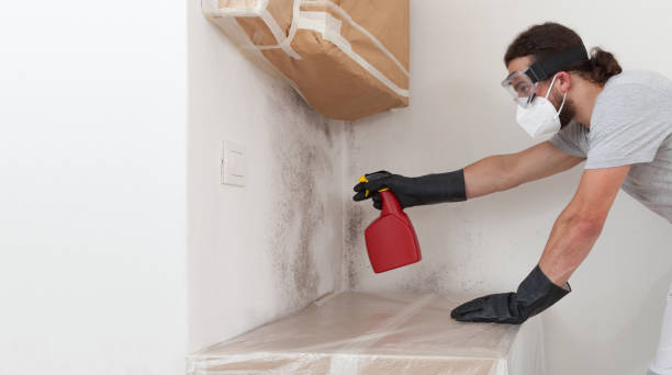 Professional Bathroom Mold Removal technician working in Linden, NJ