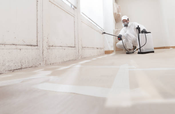 24/7 Emergency Bathroom Mold Removal experts in Linden, NJ